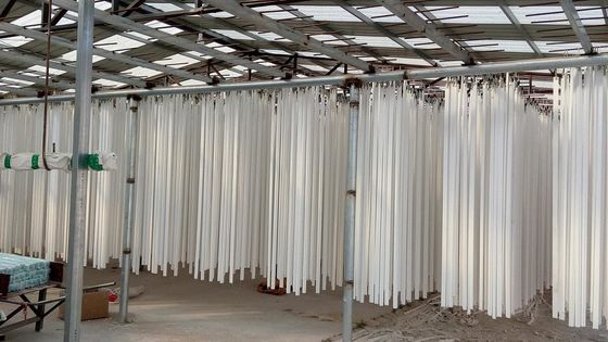 Cornija diferente do teto da gipsita que processa a maquinaria com preço baixo e menos trabalho